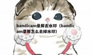 bandicam录屏去水印（bandicam录屏怎么去掉水印）