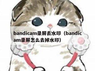 bandicam录屏去水印（bandicam录屏怎么去掉水印）