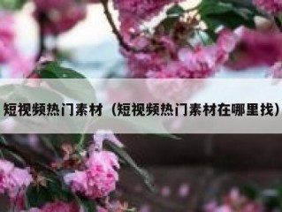 短视频热门素材（短视频热门素材在哪里找）