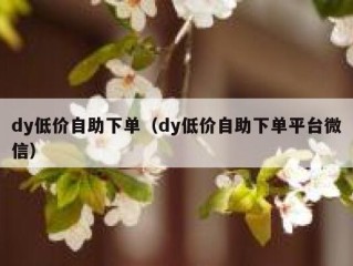 dy低价自助下单（dy低价自助下单平台微信）