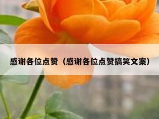 感谢各位点赞（感谢各位点赞搞笑文案）