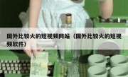 国外比较火的短视频网站（国外比较火的短视频软件）