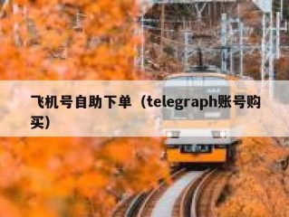 飞机号自助下单（telegraph账号购买）