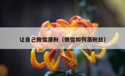 让自己微信涨粉（微信如何涨粉丝）