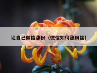 让自己微信涨粉（微信如何涨粉丝）