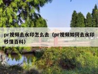 pr视频去水印怎么去（pr视频如何去水印秒懂百科）