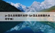 pr怎么去除图片水印（pr怎么去除图片水印字体）