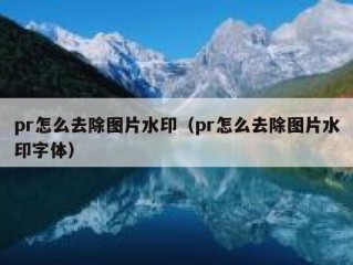 pr怎么去除图片水印（pr怎么去除图片水印字体）