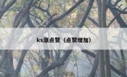 ks涨点赞（点赞增加）