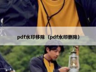 pdf水印移除（pdf水印删除）