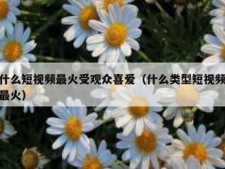 什么短视频最火受观众喜爱（什么类型短视频最火）