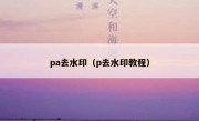 pa去水印（p去水印教程）