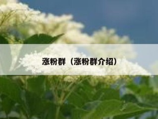 涨粉群（涨粉群介绍）