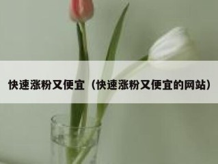 快速涨粉又便宜（快速涨粉又便宜的网站）