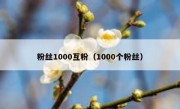 粉丝1000互粉（1000个粉丝）