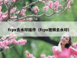 fcpx去水印插件（fcpx视频去水印）