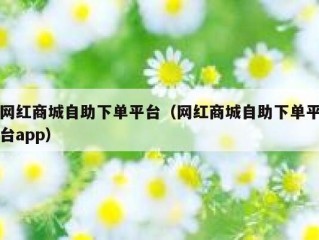 网红商城自助下单平台（网红商城自助下单平台app）