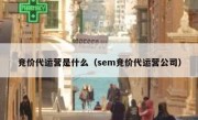 竞价代运营是什么（sem竞价代运营公司）