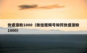 快速涨粉1000（微信视频号如何快速涨粉1000）