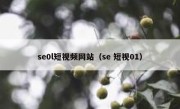 se0l短视频网站（se 短视01）