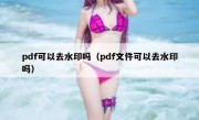 pdf可以去水印吗（pdf文件可以去水印吗）