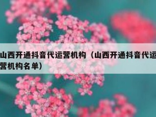 山西开通抖音代运营机构（山西开通抖音代运营机构名单）