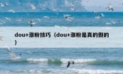 dou+涨粉技巧（dou+涨粉是真的假的）