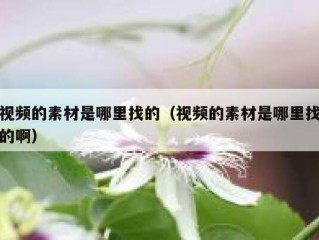 视频的素材是哪里找的（视频的素材是哪里找的啊）