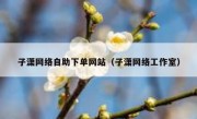 子潇网络自助下单网站（子潇网络工作室）