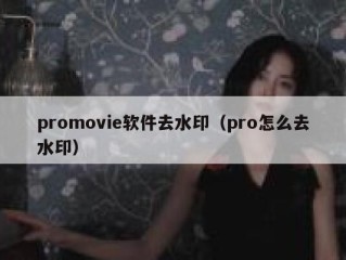 promovie软件去水印（pro怎么去水印）