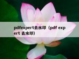 pdfexpert去水印（pdf expert 去水印）