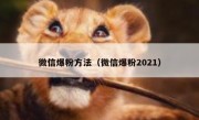 微信爆粉方法（微信爆粉2021）