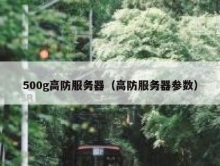 500g高防服务器（高防服务器参数）