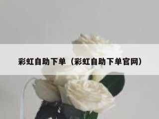 彩虹自助下单（彩虹自助下单官网）