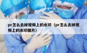 pr怎么去掉视频上的水印（pr怎么去掉视频上的水印图片）