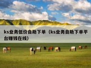 ks业务低价自助下单（ks业务自助下单平台赚钱在线）