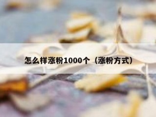 怎么样涨粉1000个（涨粉方式）