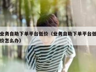 业务自助下单平台低价（业务自助下单平台低价怎么办）