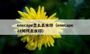 enscape怎么去水印（enscape28如何去水印）