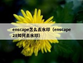 enscape怎么去水印（enscape28如何去水印）