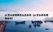 pr怎么给视频怎么去水印（pr怎么样去视频水印）