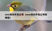 sem竞价外包公司（sem竞价外包公司有哪些）