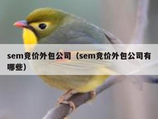 sem竞价外包公司（sem竞价外包公司有哪些）