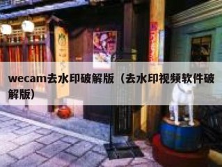 wecam去水印破解版（去水印视频软件破解版）