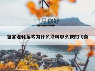 包含老耗游戏为什么涨粉那么快的词条