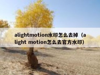 alightmotion水印怎么去掉（alight motion怎么去官方水印）