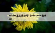 adobe怎么去水印（adobedc去水印）