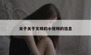 关于关于文明的小视频的信息