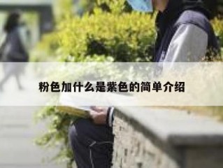 粉色加什么是紫色的简单介绍