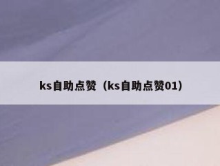 ks自助点赞（ks自助点赞01）